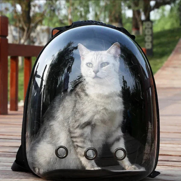 Portable Cat Bag With Space Capsule