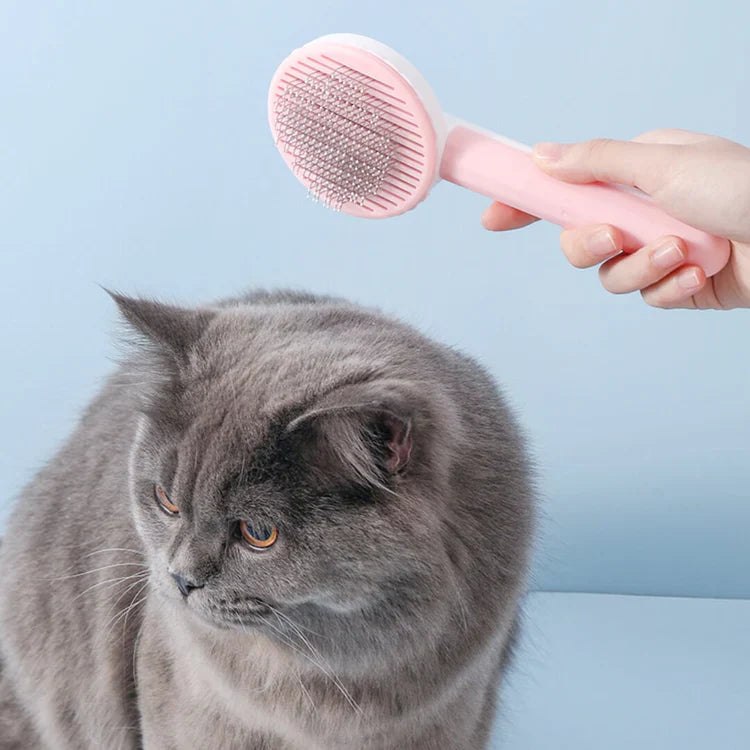 Self-Cleaning Cat Brush