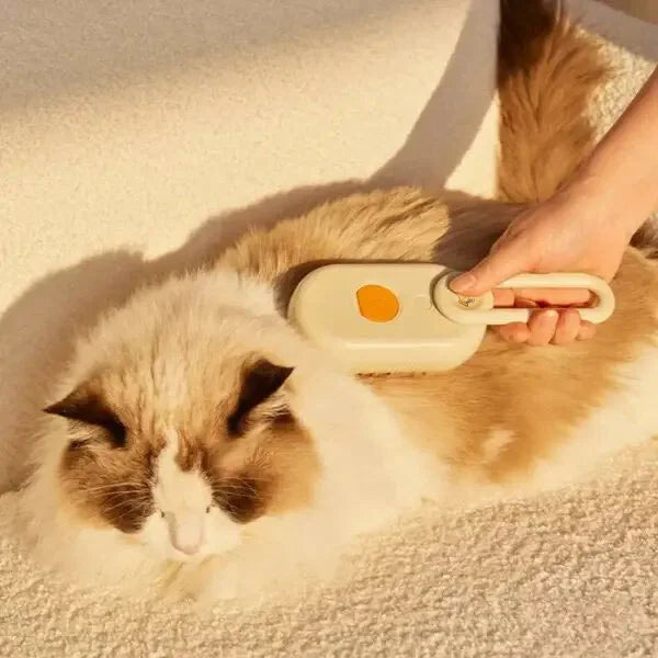 Pet Steam Brush